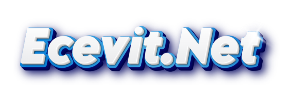 Ecevit.Net logo