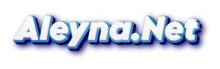 Aleyna.Net logo