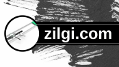 zilgi.com logo